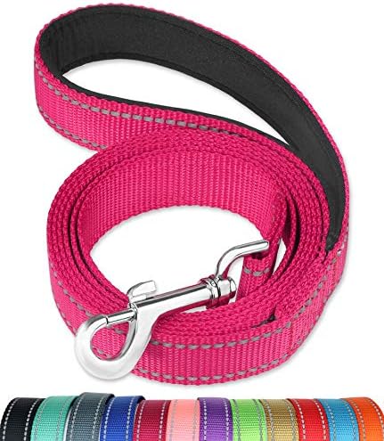 FunTags 6FT Reflective Dog Leash with Soft Padded Handle for Training,Walking Lead for Large & Medium Dog,1 Inch Wide,HOTPINK