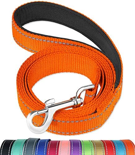 FunTags 6FT Reflective Dog Leash with Soft Padded Handle for Training,Walking Lead for Large & Medium Dog,1 Inch Wide,Orange
