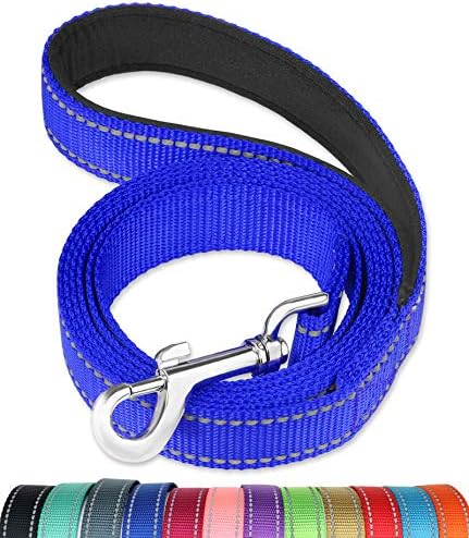 FunTags 6FT Reflective Dog Leash with Soft Padded Handle for Training,Walking Lead for Large & Medium Dog,1 Inch Wide,Royal Blue