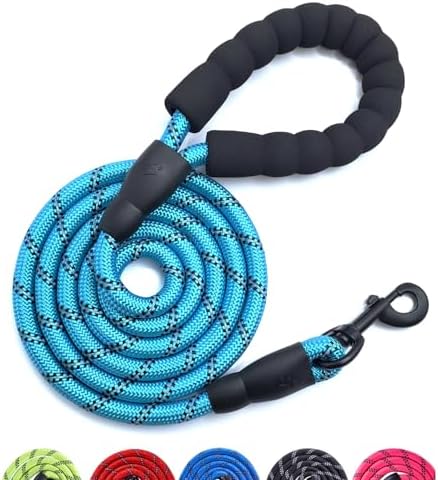 GLORYPET Dog Leash Heavy Duty, 5FT/6 FT Dog Leashes for Small Puppy Medium Large Breed Dogs with Comfortable Handle, Reflective Rope Pet Leash for Night Safety Walking (5 FT- 1/2", Light Blue)